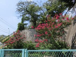 毘沙門台入口の花壇の写真2