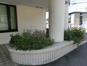 安東公民館の花壇写真1