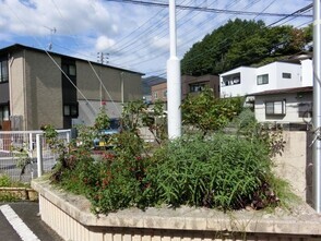 安東公民館の花壇の写真2