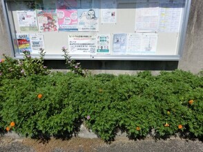 ふれあいセンター絆の花壇の写真1