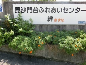 ふれあいセンター絆の花壇の写真2