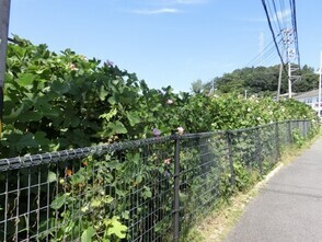 毘沙門台中バス停南側