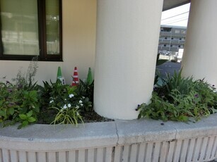 安東公民館の花壇写真1