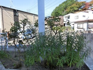 安東公民館の花壇の写真2
