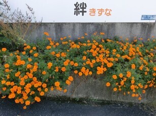 ふれあいセンター絆の花壇の写真1