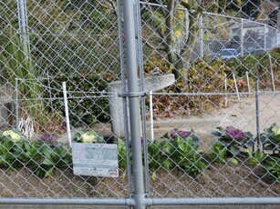 安東第一公園の花壇の写真1