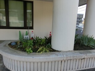 安東公民館の花壇の写真2