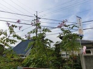 ふれあいセンター絆の花壇の写真1