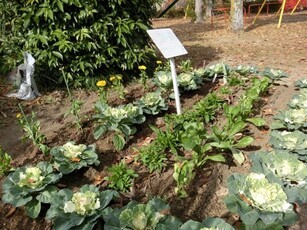 毘沙門台南第一公園の花壇の写真3