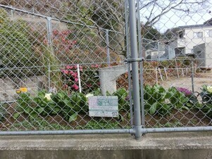 安東第一公園の花壇の写真1