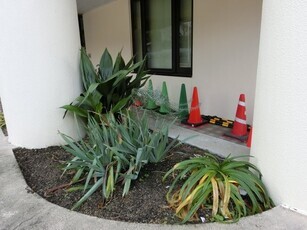 安東公民館の花壇写真1