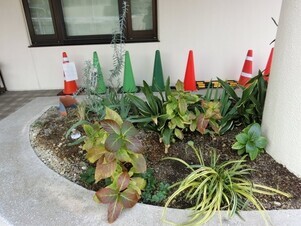 安東公民館の花壇の写真2