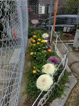 安東第一公園の花壇の写真1