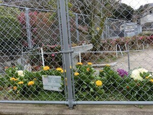 安東第一公園の花壇の写真2