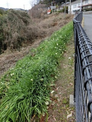 毘沙門台中バス停南側