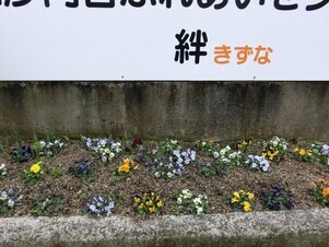 ふれあいセンター絆の花壇の写真1