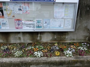 ふれあいセンター絆の花壇の写真2