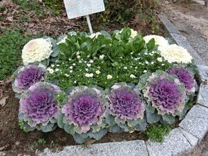 毘沙門台南第一公園の花壇の写真1