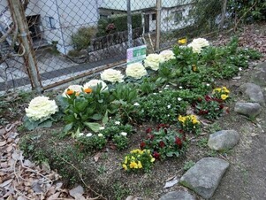 毘沙門台南第一公園の花壇の写真3