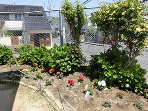 相田第六公園の花壇の写真2