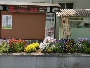 ふじが丘集会所の花壇の写真1
