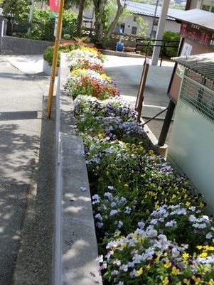 ふじが丘集会所の花壇の写真2
