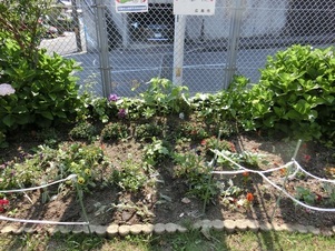 相田第六公園の花壇の写真