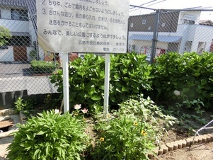 相田第六公園の花壇の写真3