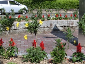 ヌマジ交通ミュージアムの花壇の写真3