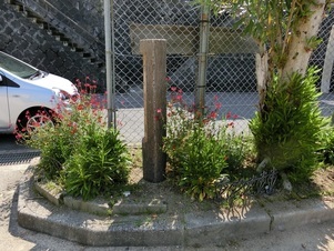 向が丘公園の花壇の写真1