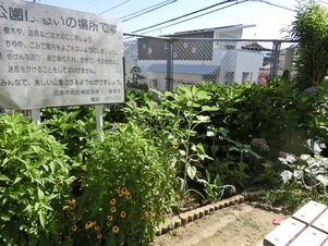 相田第六公園の花壇の写真2