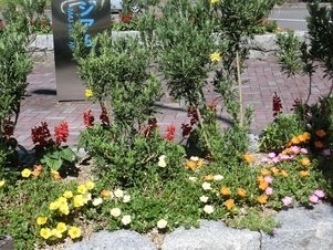 ヌマジ交通ミュージアムの花壇の写真3