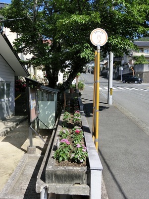 ふじが丘集会所の花壇の写真2
