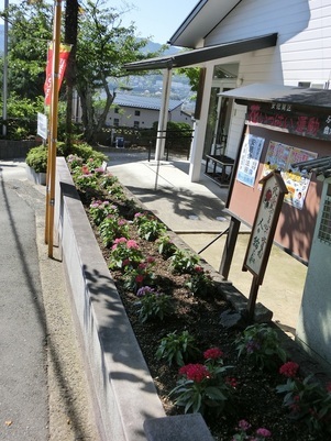 ふじが丘集会所の花壇の写真3