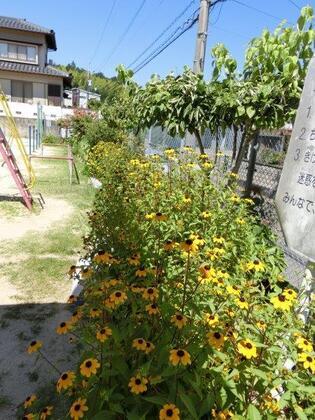相田第六公園の花壇の写真2