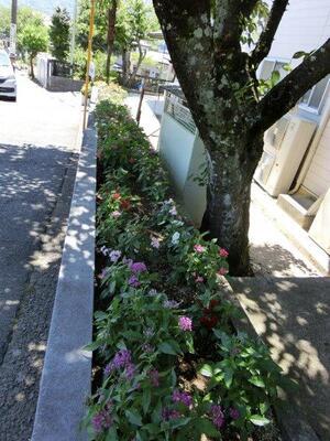 ふじが丘集会所の花壇の写真2