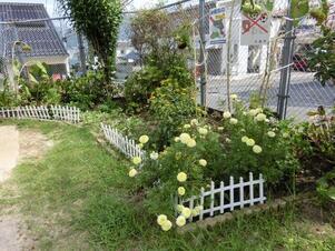 相田第六公園の花壇の写真