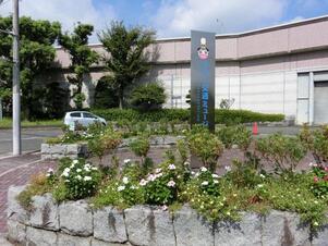 ヌマジ交通ミュージアムの花壇の写真3