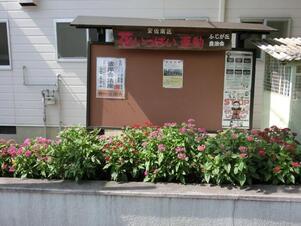 ふじが丘集会所の花壇の写真1