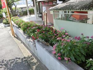 ふじが丘集会所の花壇の写真2