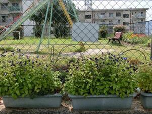 緑ヶ丘北第一公園の花壇の写真