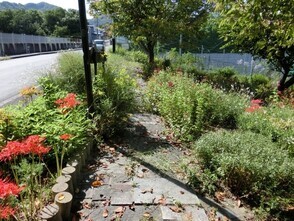 相田第7公園の花壇の写真3