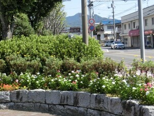 ヌマジ交通ミュージアムの花壇の写真2