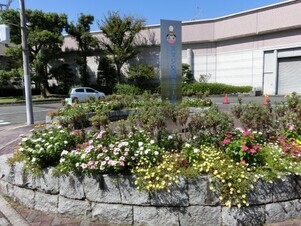 ヌマジ交通ミュージアムの花壇の写真3