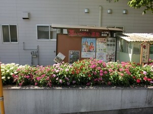 ふじが丘集会所の花壇の写真1