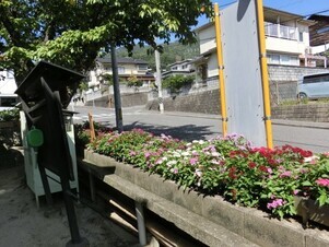 ふじが丘集会所の花壇の写真2