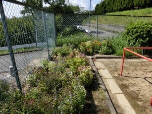 緑ヶ丘北第一公園の花壇の写真