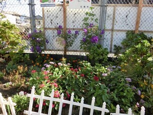 相田第六公園の花壇の写真