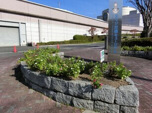 ヌマジ交通ミュージアムの花壇の写真1