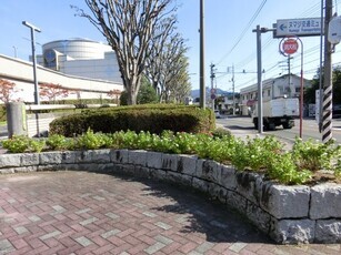 ヌマジ交通ミュージアムの花壇の写真2